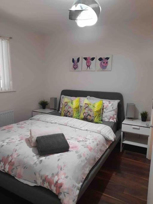 Belfast Apartment Εξωτερικό φωτογραφία
